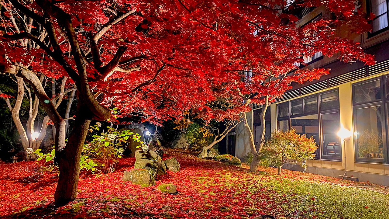 庭園 花禅の杜